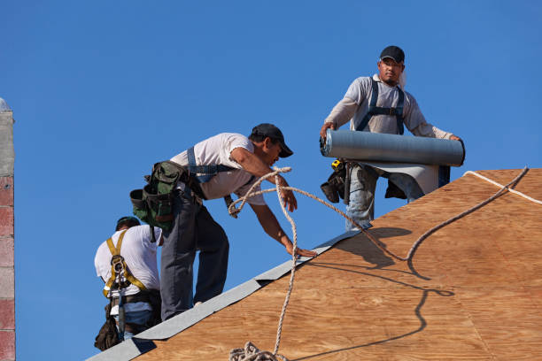 Best Roof Inspection Near Me  in Oakwood, IL