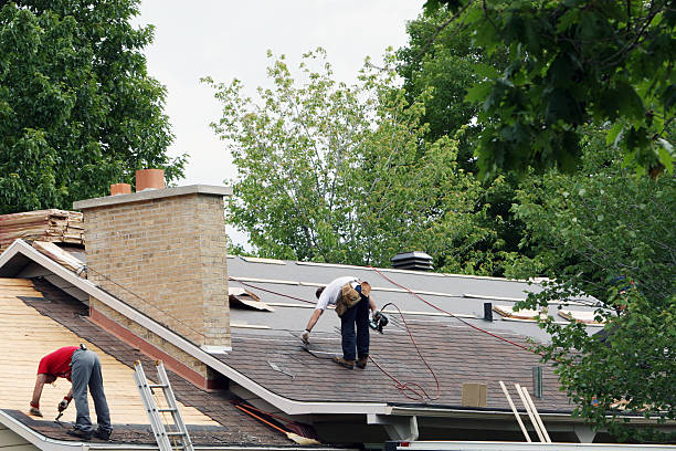 Best Roof Maintenance Services  in Oakwood, IL